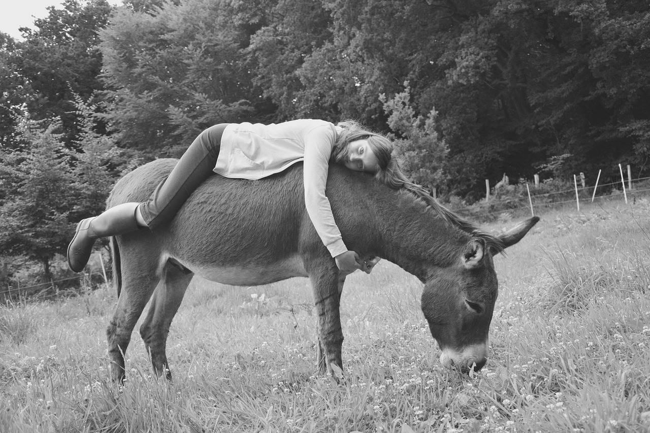 Onoterapia: un animale speciale fonte di benessere