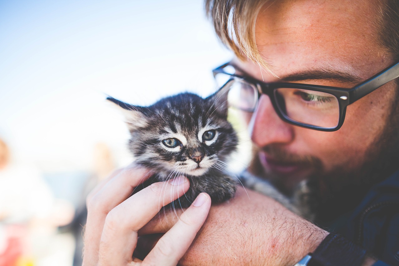 Veterinari e stress: il burnout nella medicina veterinaria