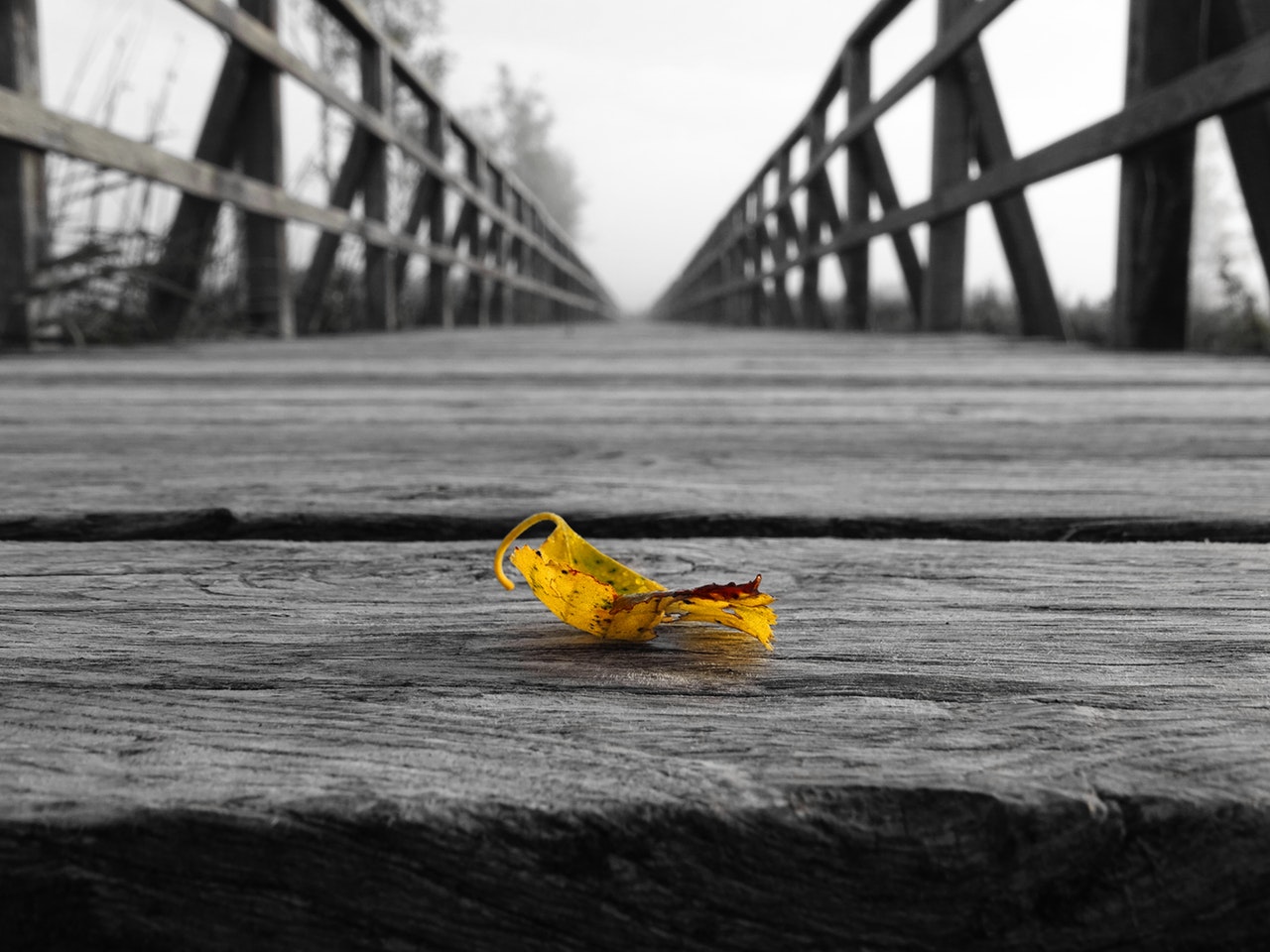 Trauma e memoria, le conseguenze sul cervello