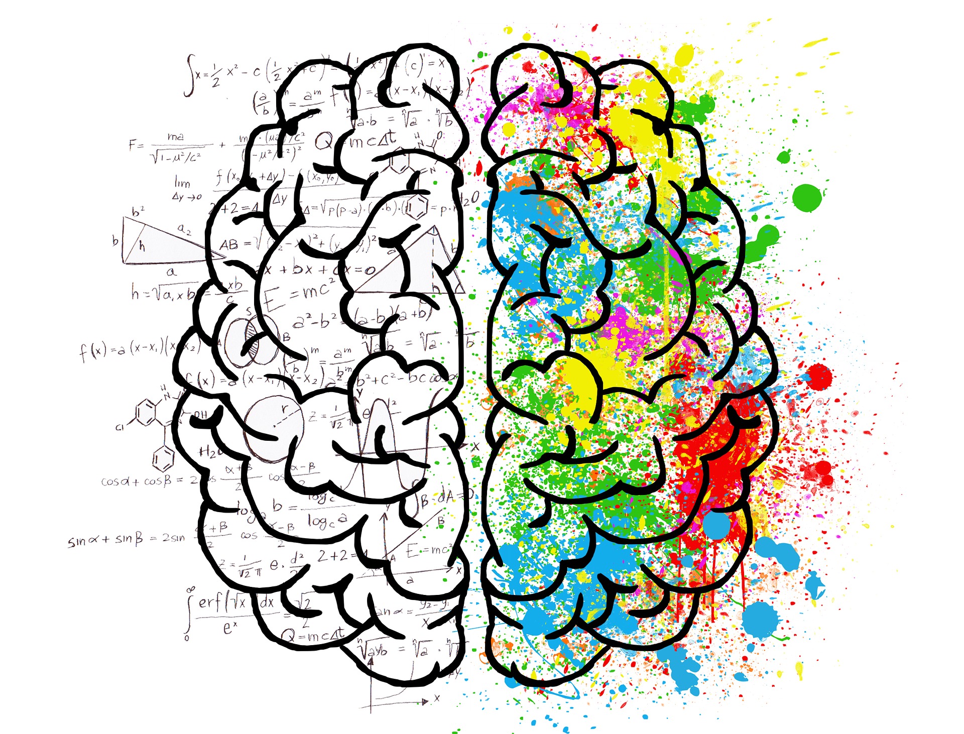Il cervello, un luogo sempre da scoprire