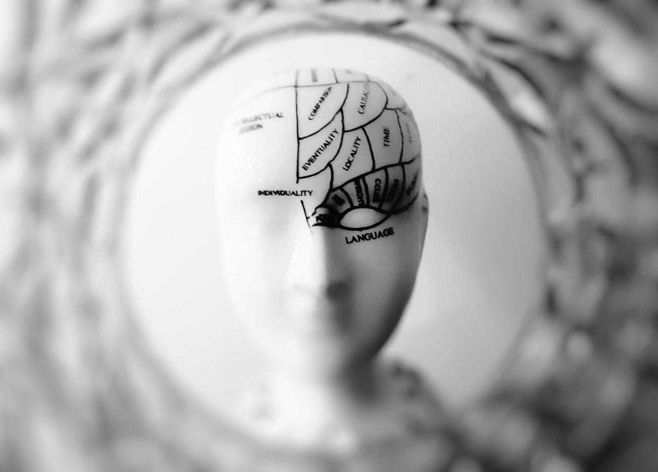 Anatomia criminale, il reo e il suo cervello