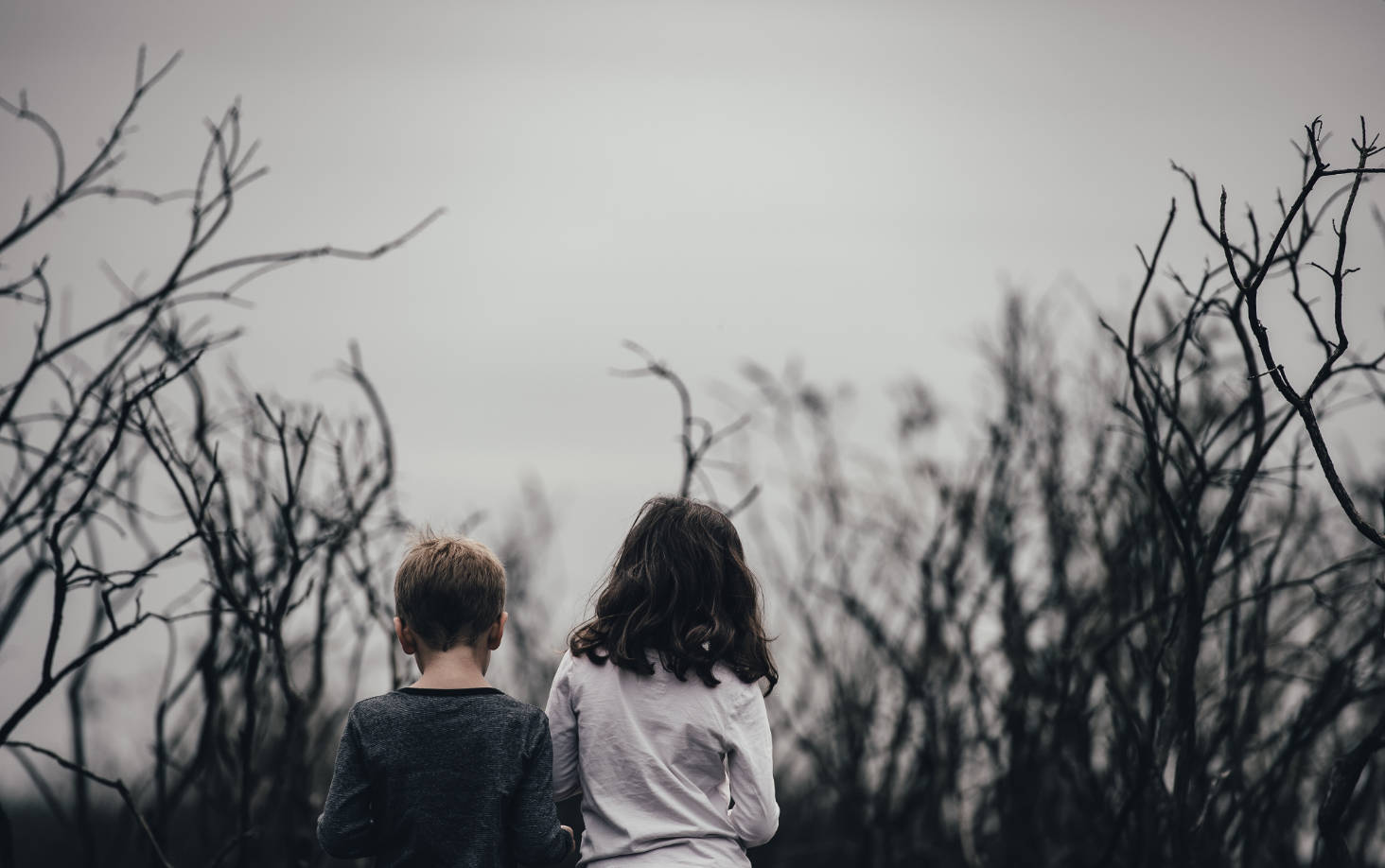 I genitori che litigano davanti ai figli commettono un reato