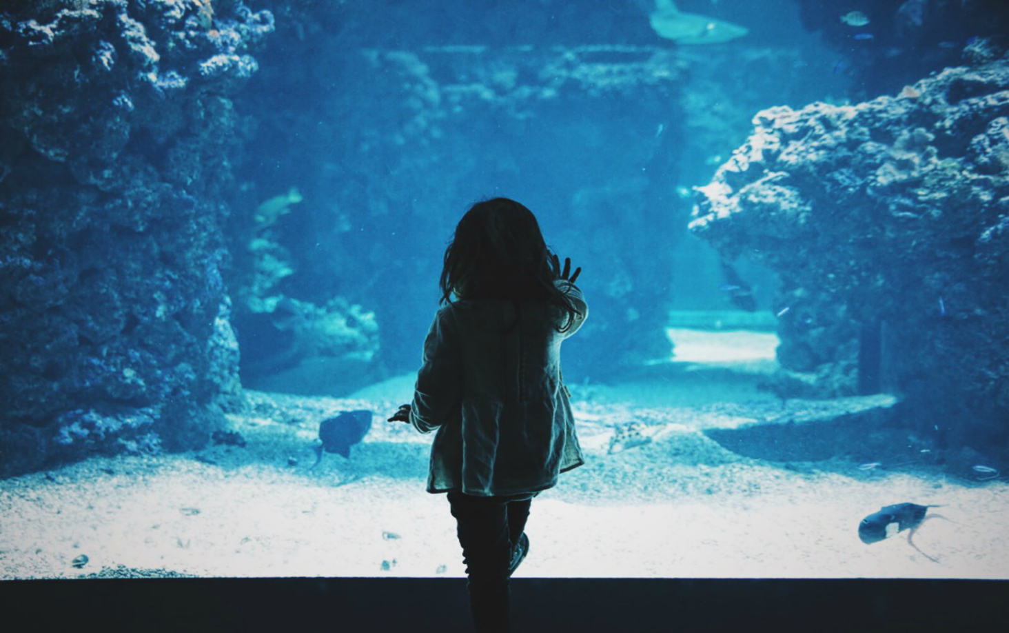 La Sindrome da Alienazione Parentale – PAS