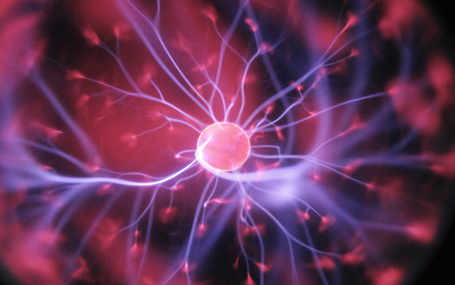 I neuroni si rigenerano? Le scoperte scientifiche sostengono di sì!
