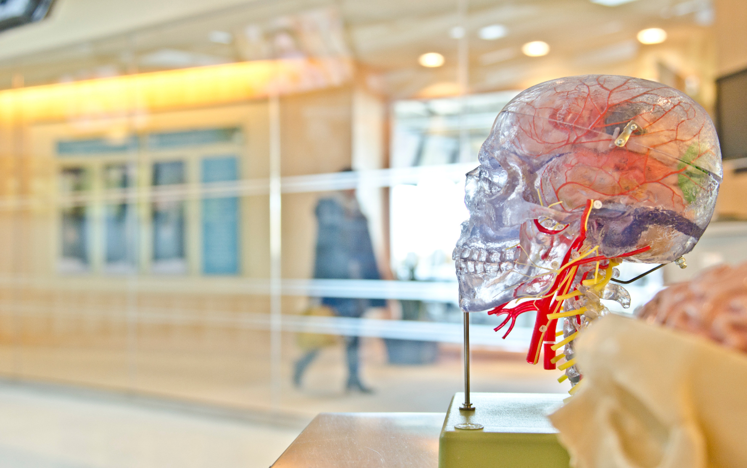 Autopsia psicologica: un contributo alle indagini nei casi di morte equivoca