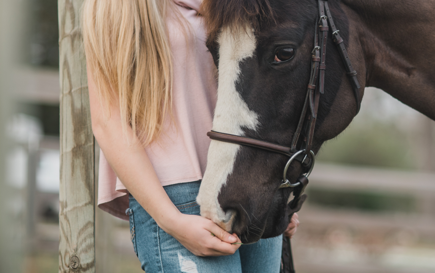 Il beneficio della riabilitazione equestre nell’autismo