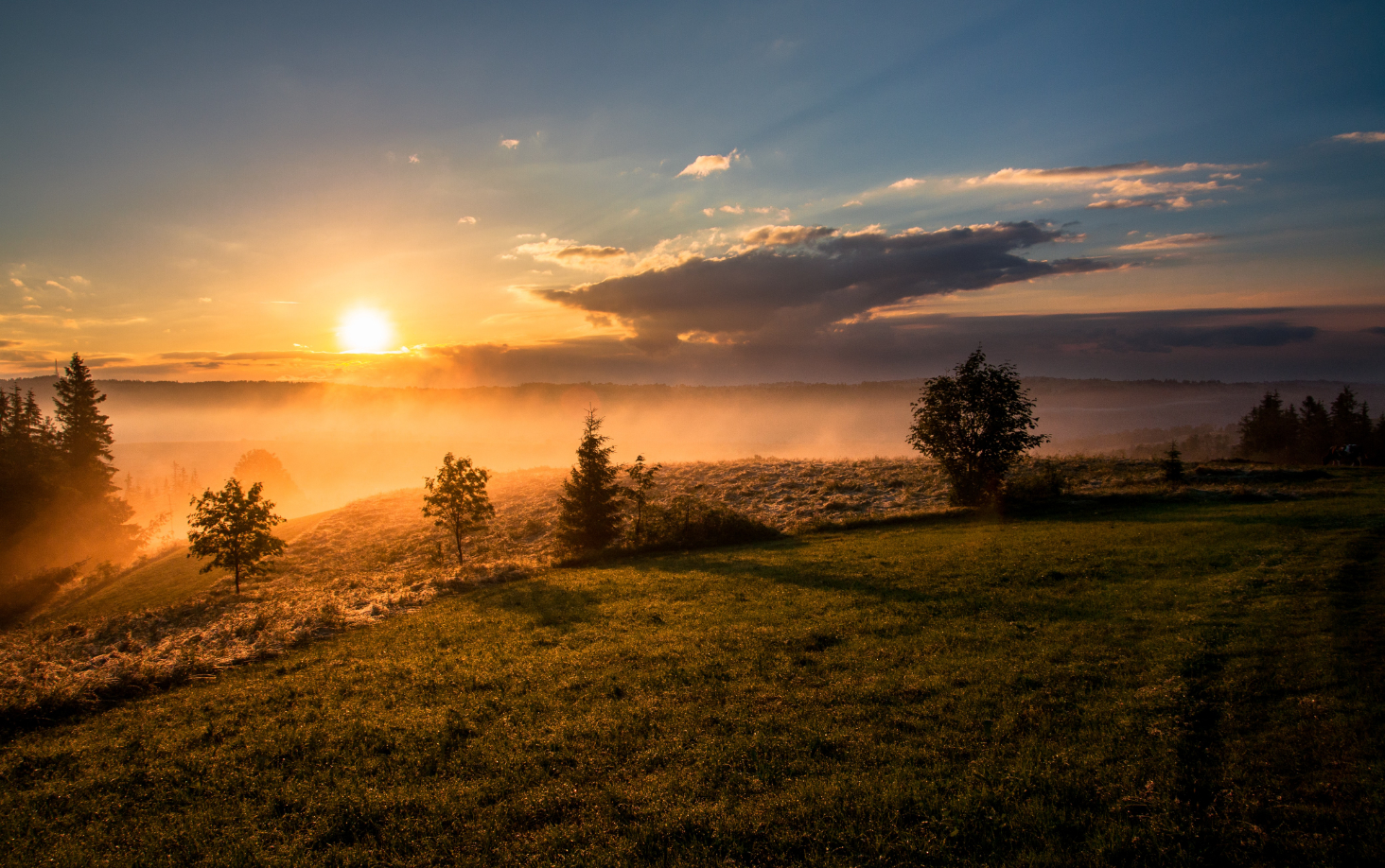 Cos’è la Sundowning syndrome o sindrome del tramonto?
