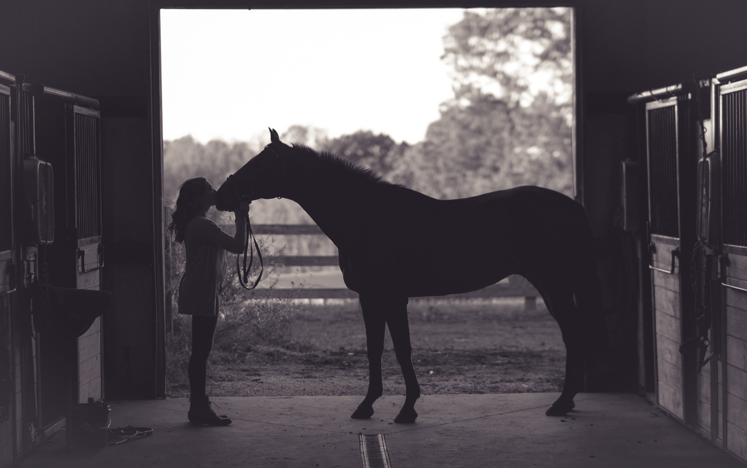 Dall’insegnamento alla riabilitazione equestre: intervista a Fulvia Ferrante