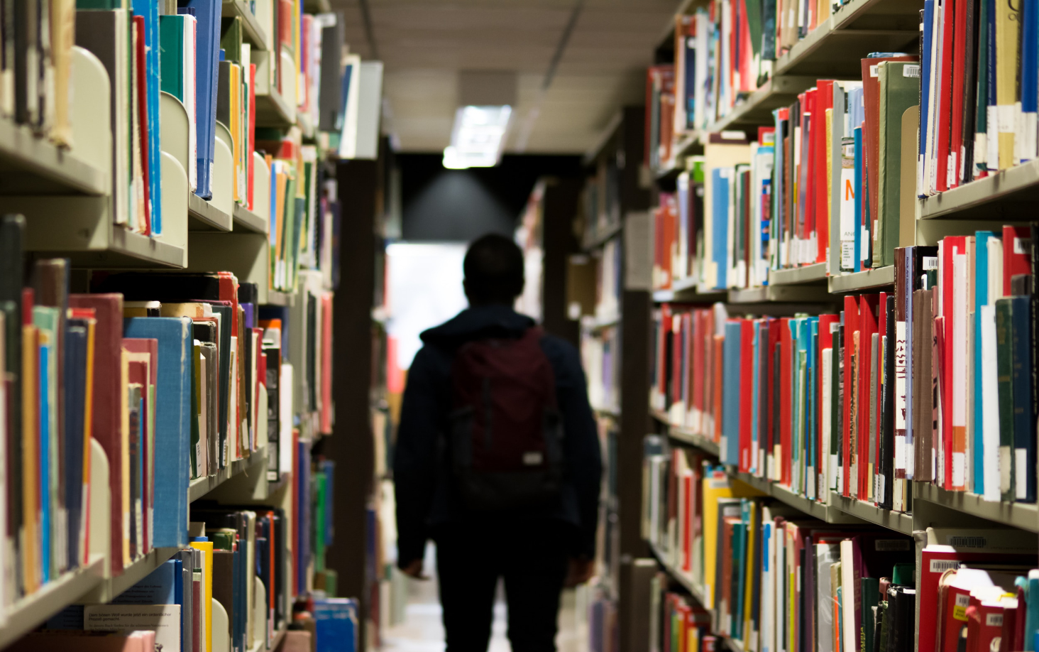 Il bullismo nelle scuole: vittime, bulli e osservatori passivi