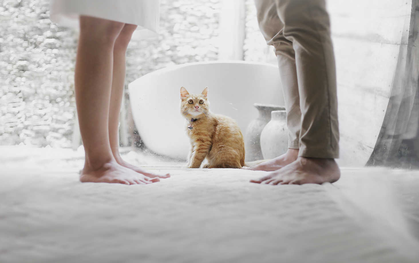 I miei genitori si separano: e adesso cosa accade?