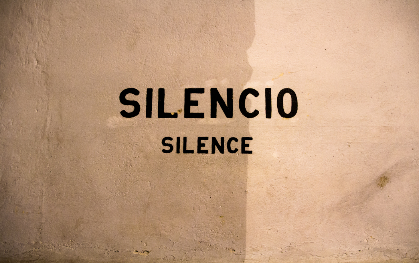 La sostenibile bellezza del silenzio: rimedi per una società rumorosa