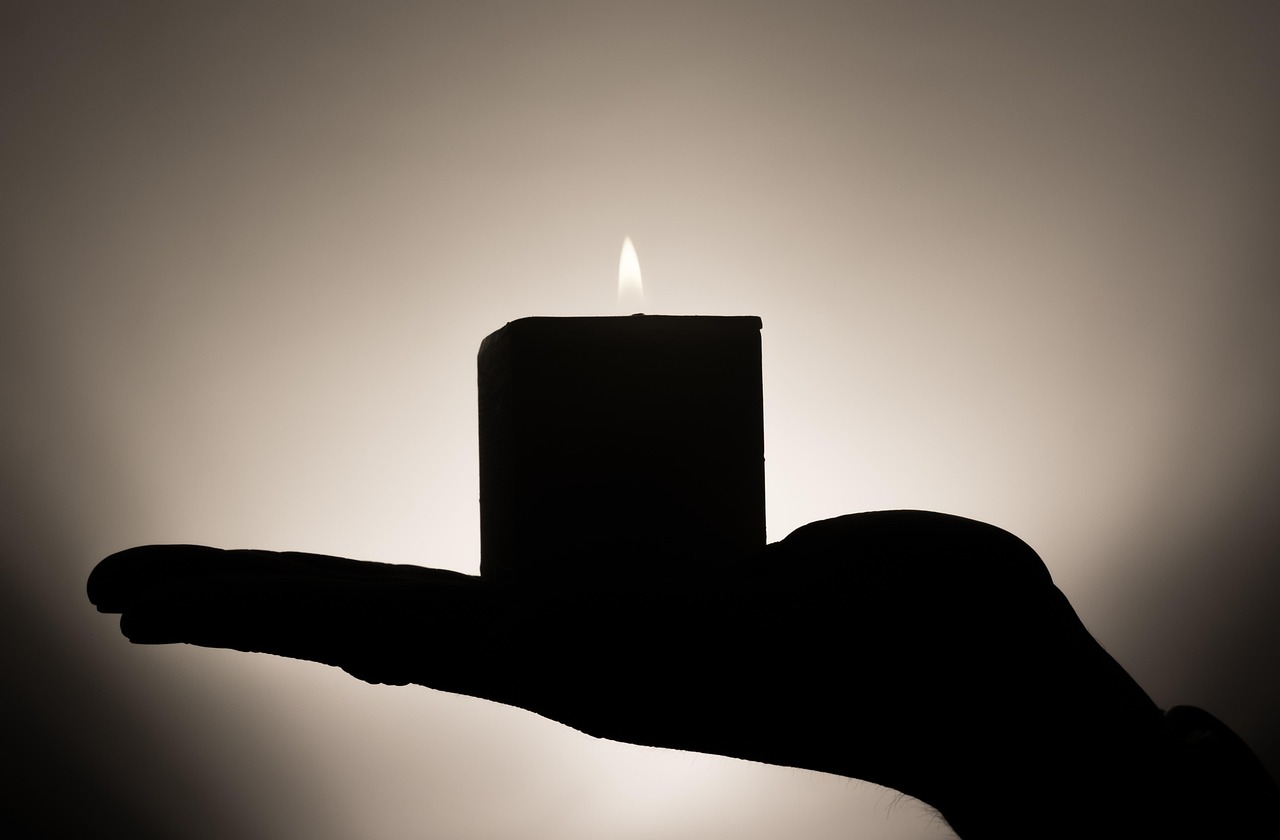 Alice ed Ellen Kessler: un addio a due voci